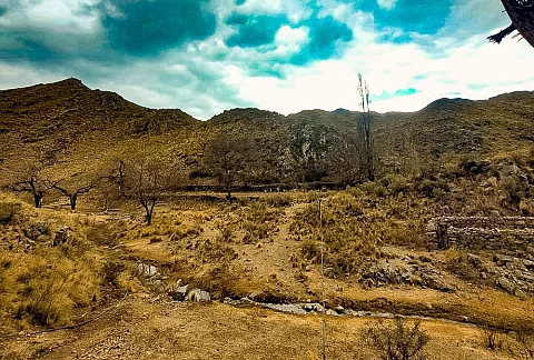 d3602623ebad3eb0fe8f20eb0dc682bd_XL